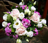 HTA1006 - Yeomans Flowers